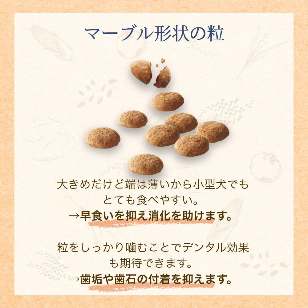 Amazon | ファーストチョイス ChoiceS(チョイスエス) ドッグフード