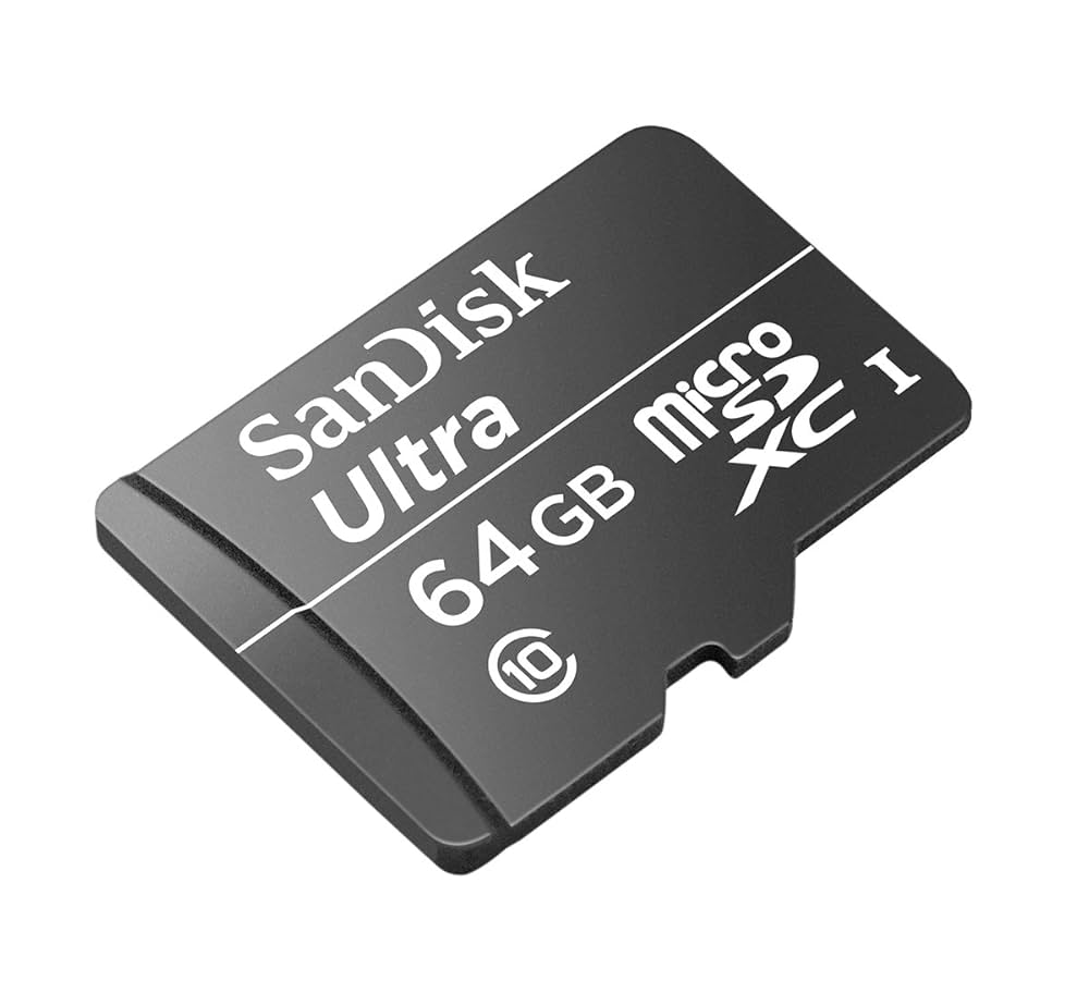 Amazon | SANDISK MicroSDXC 64GB class10 UHS-1 30MB/s 英語