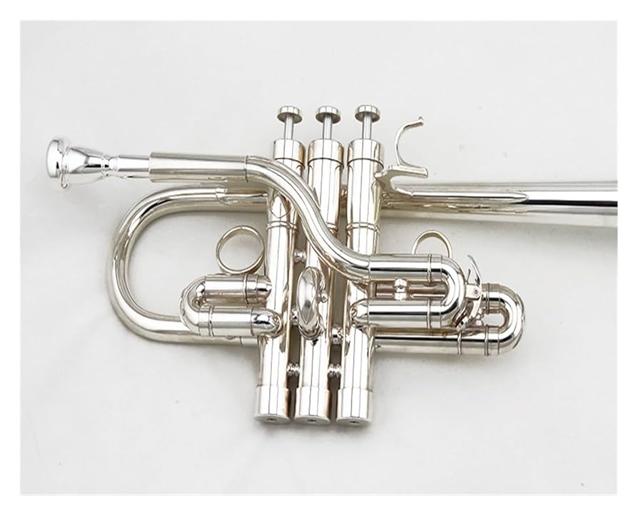 Amazon | Eフラット/Dキーのトランペット銀メッキトランペット