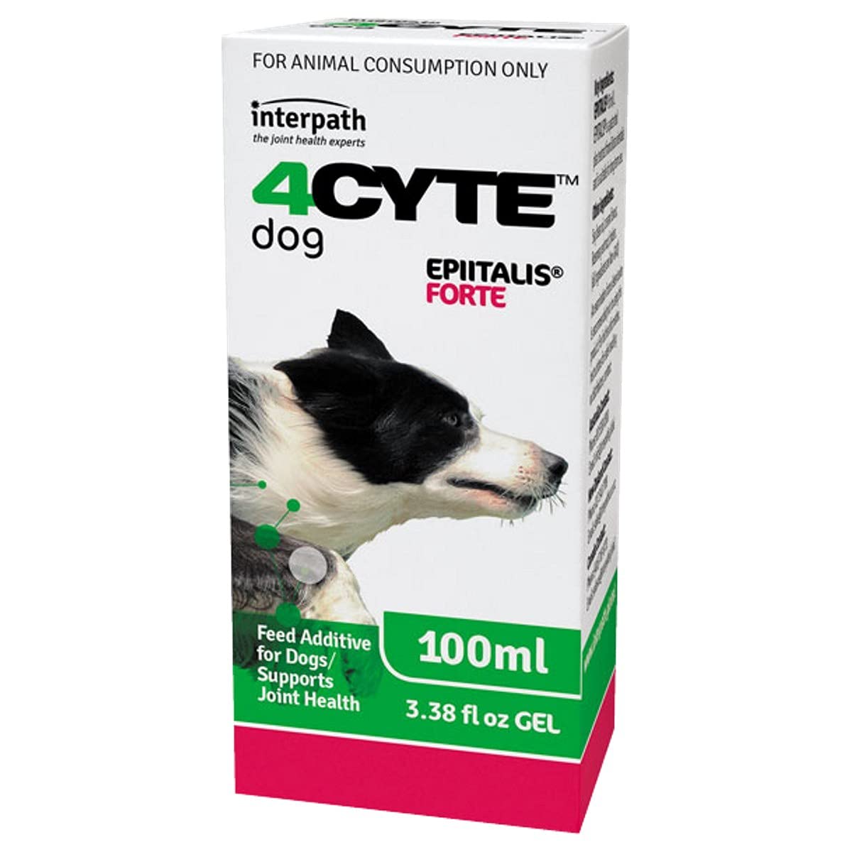 4CYTE Epiitalis Forte Gel for Dogs 100ml