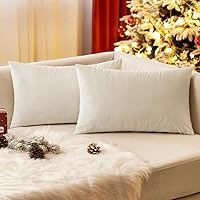 Vista 77 de EMEMA Paquete de 2 fundas de almohada de terciopelo, decorativas, cuadradas, suaves, sólidas, para sofá, dormitorio, silla o automóvil, 18 x 18 Gris