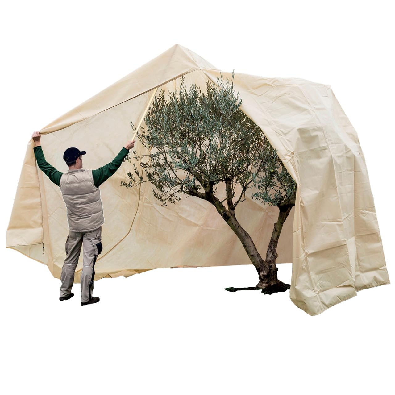 AFP Winterschutz Vlieshaube XXXL Mediterran EXTREM, beige, H: 340cm,   250c, 140g/qm extrem stark, Kbelpflanzensack/Robuster Frostschutz Olive  Palme/Kordel & Reiverschluss / 2 Jutesckchen gratis : Amazon.de: Garten