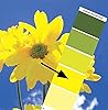 Magic Palette Color Matching Guide 36 Colors #3