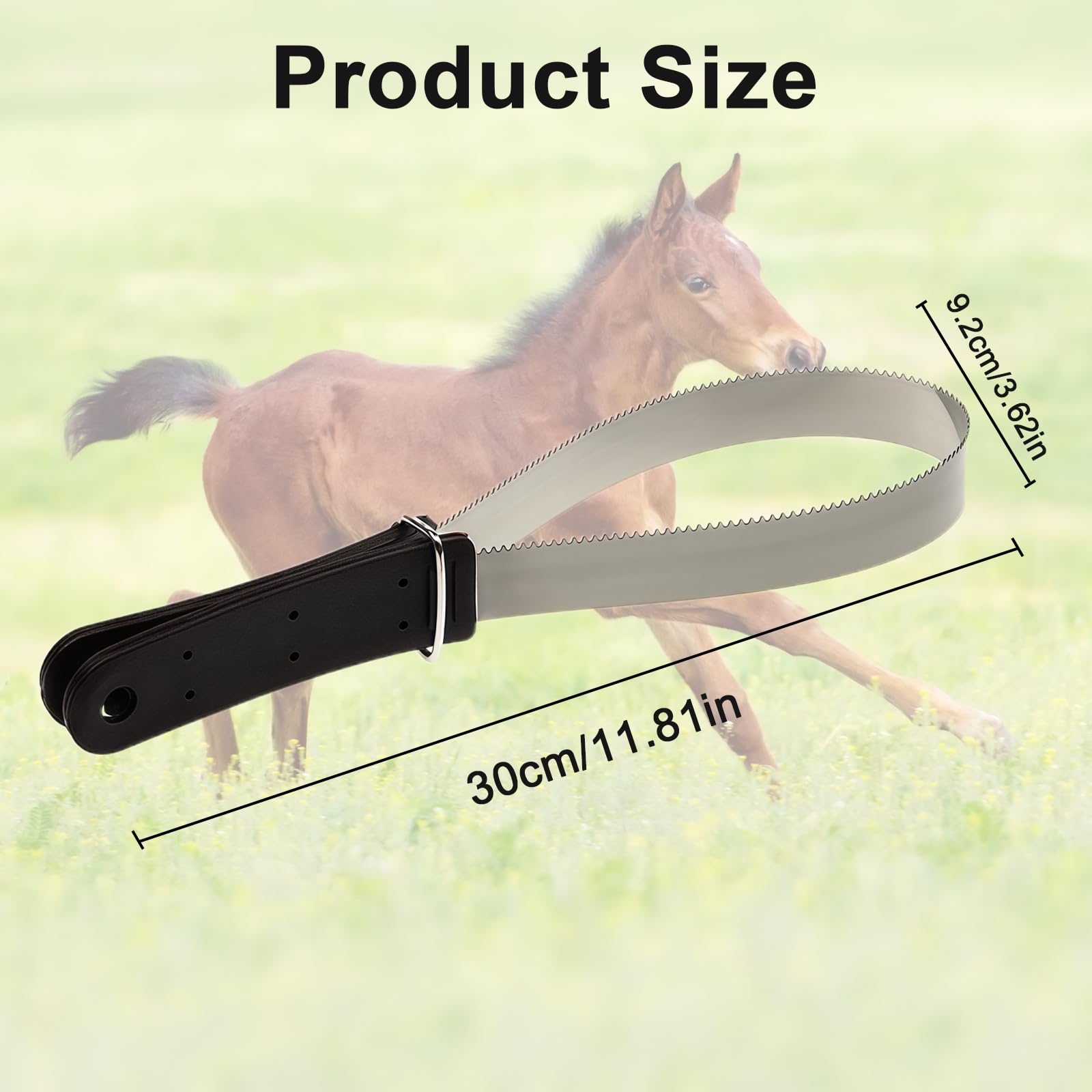 Daryunk Horse Hair Brush - Image 2