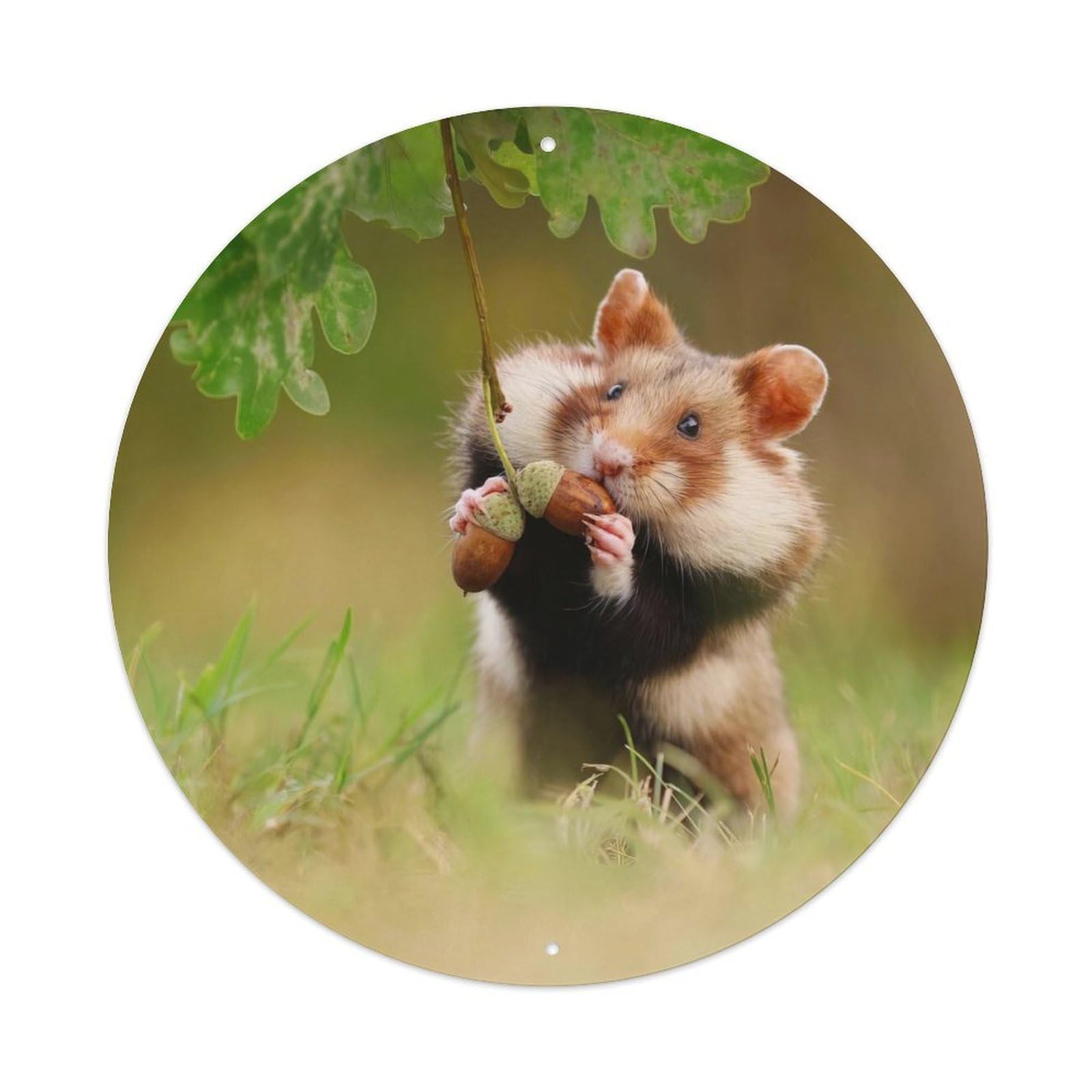 Animal European Hamster Vintage Metal Tin Sign Plaque Wall Decor for Cafe, Club, Garden Round Metal Poster 8x8Inch