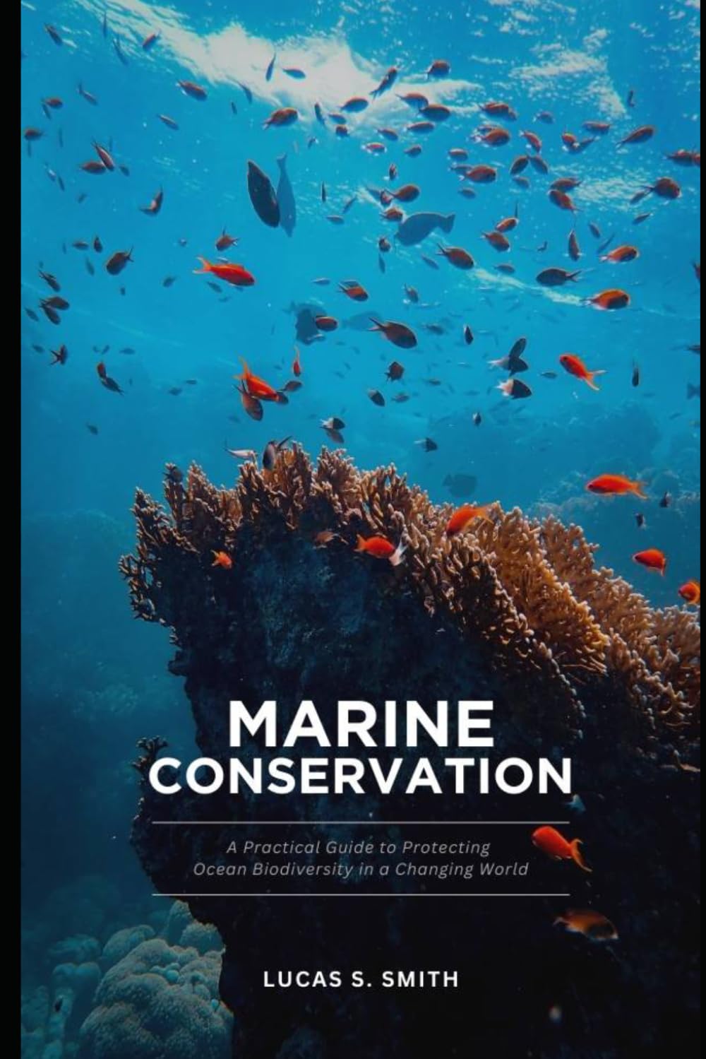 Marine Conservation: A Practical Guide to Protecting Ocean Biodiversity in a Changing World