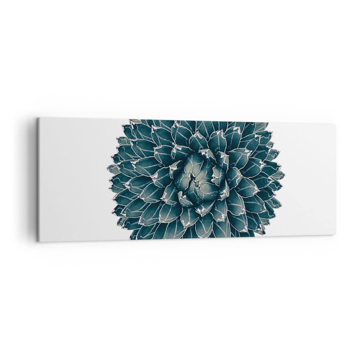 Moderne Impression sur Toile 100x70cm Image Tableau Decoration Murale Agave Vert Plante Grand Tableaux Decoratifs Muraux Chambre Cuisine Horizontal