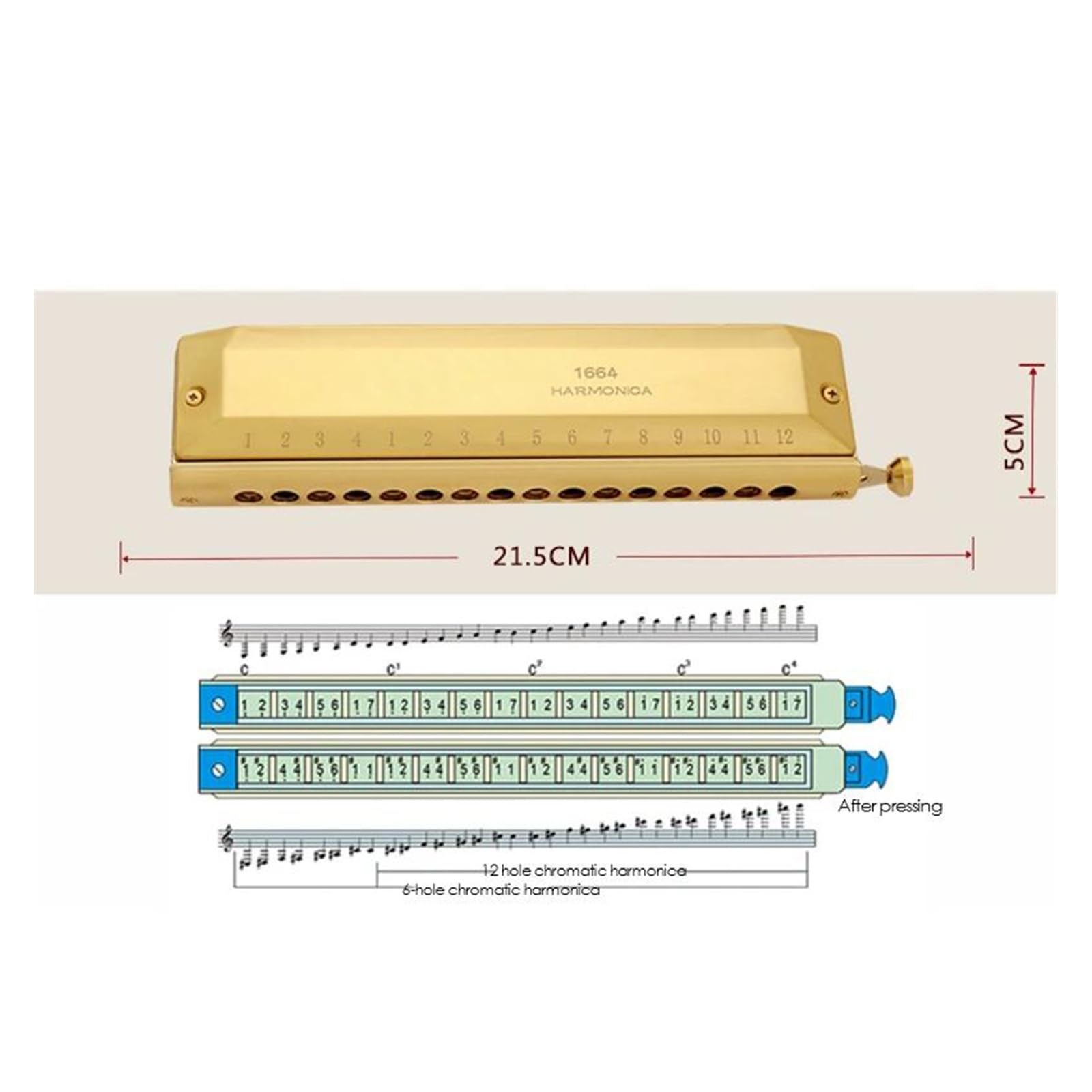 Armonica cromatica 16 fori 64 toni per armonica a bocca chiave di C strumenti musicali professionali
