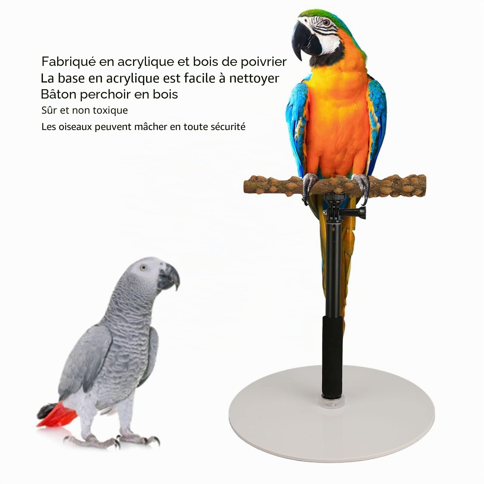 TANM Perchoir à Oiseaux Réglable, Station de Perroquet Base Acrylique Amovible Coffre-Fort Portable Proche de la Nature pour l'intérieur
