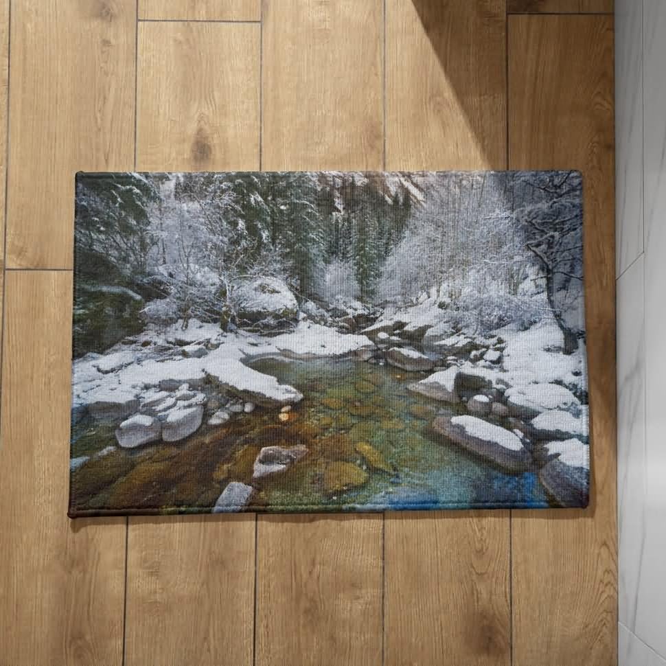 Tapis de porte d'entrée intérieur nature CEVAN 50x80cm