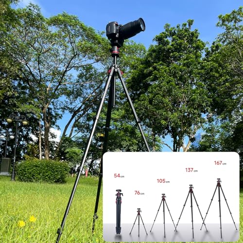 Image of Travel Tripod, 68 inch Camera Tripod with 360 Ball Head Lightweight Aluminum Portable Compatible with i Phone, Canon G7X, Sony, DSLR /SLR Cameras, Video Camcorders, Action Cameras,Telescopes...8.8lbs