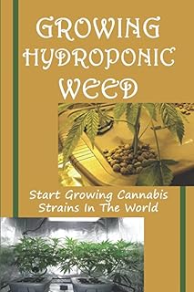 Growing Hydroponic Weed: Start Growing Cannabis Strains In The World