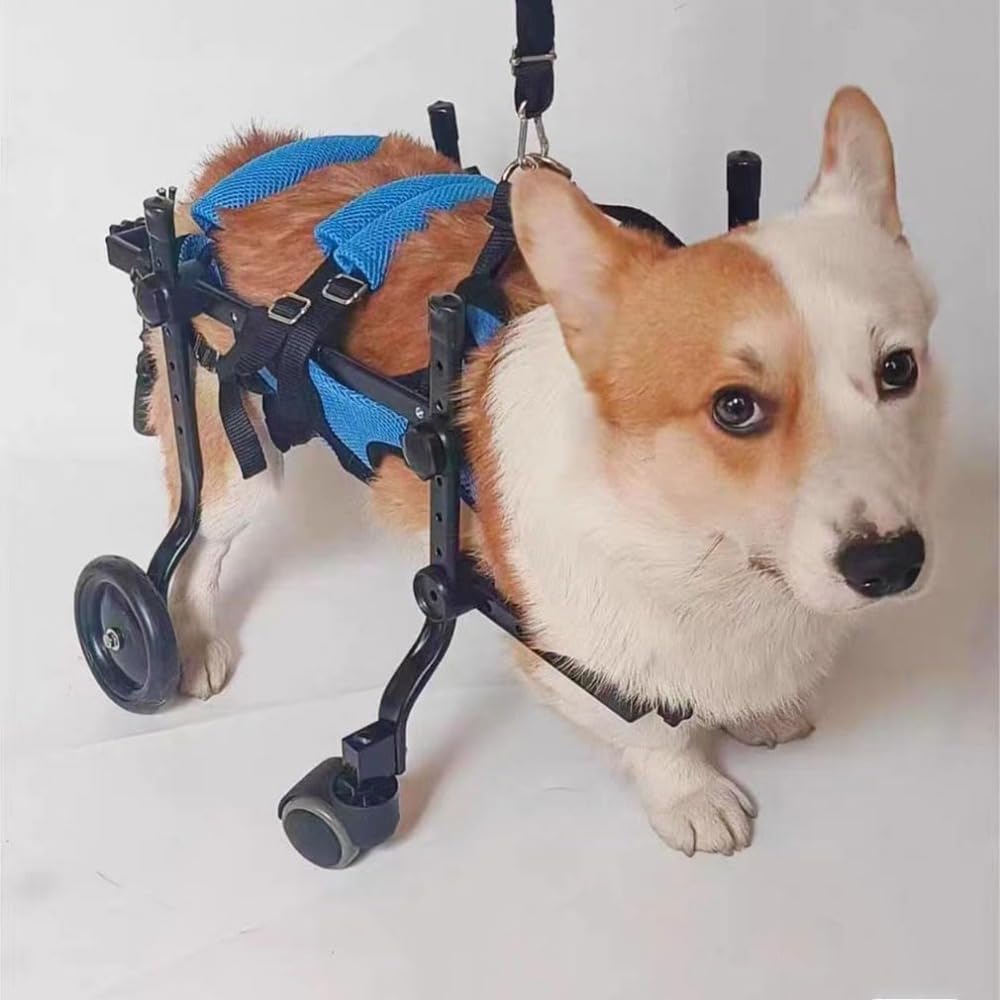 Amazon.co.jp: 犬用車椅子 ペット/猫/犬カート 車椅子 サイズ調整可能