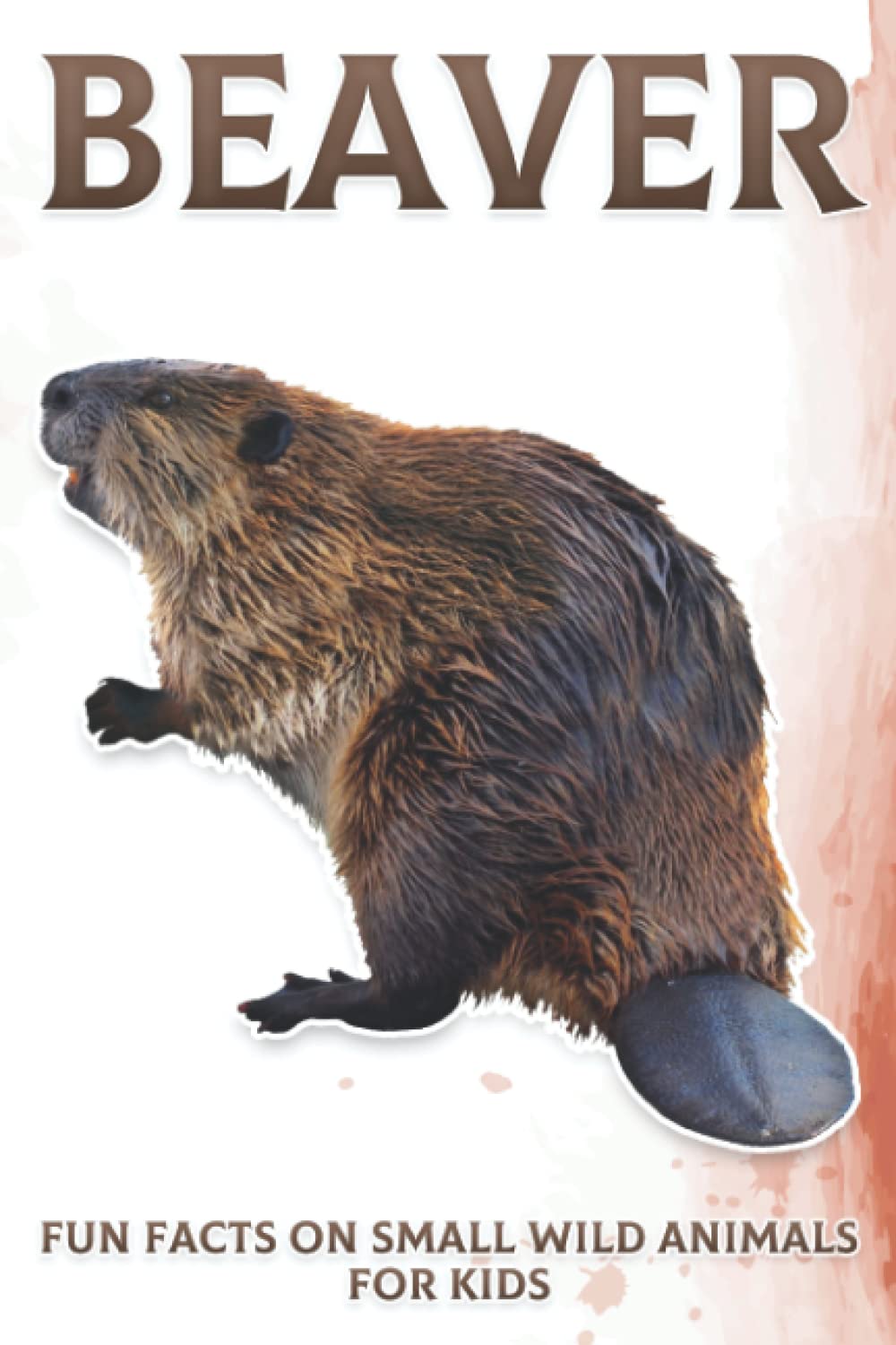 Beaver: Fun Facts on Small Wild Animals for Kids #6
