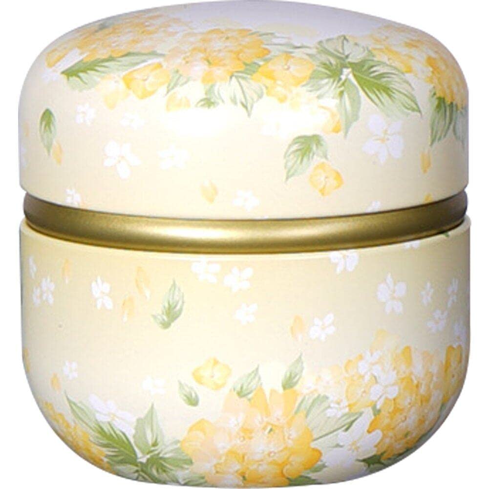 Casiler Mini Tea Storage Containers Tinplate Tea Tins Coffee Tins Food Storage Container for Tea Coffee Herb Candy Chocolate Sugar Spices