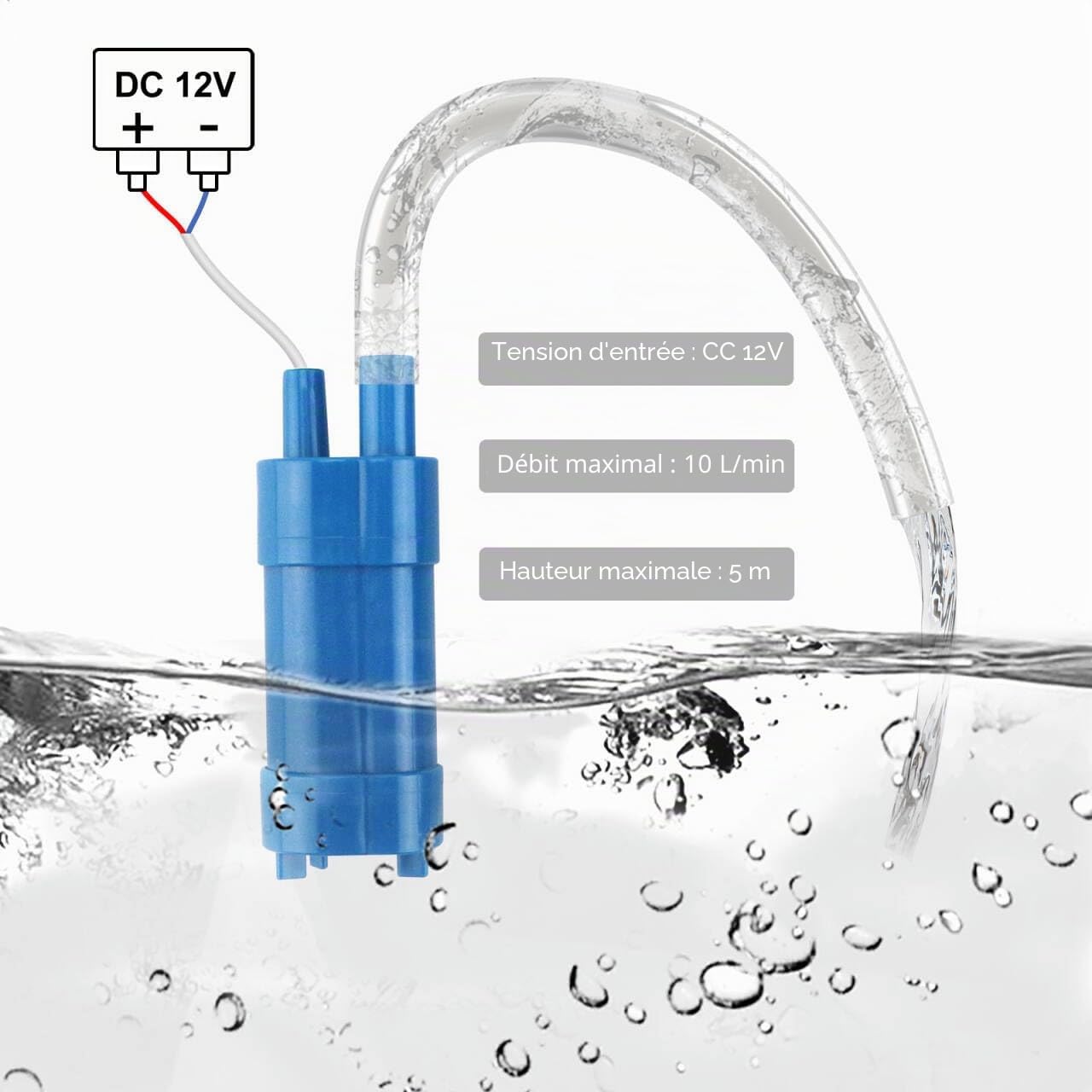 Pompe à Eau Submersible 12 V 600 L/H, 5m Lift Ultra Silencieuse Pompe D'eau Douce avec Tuyau en Silicone de 5m, pour Caravane, Camping-car, Yacht, Bateau, etc.