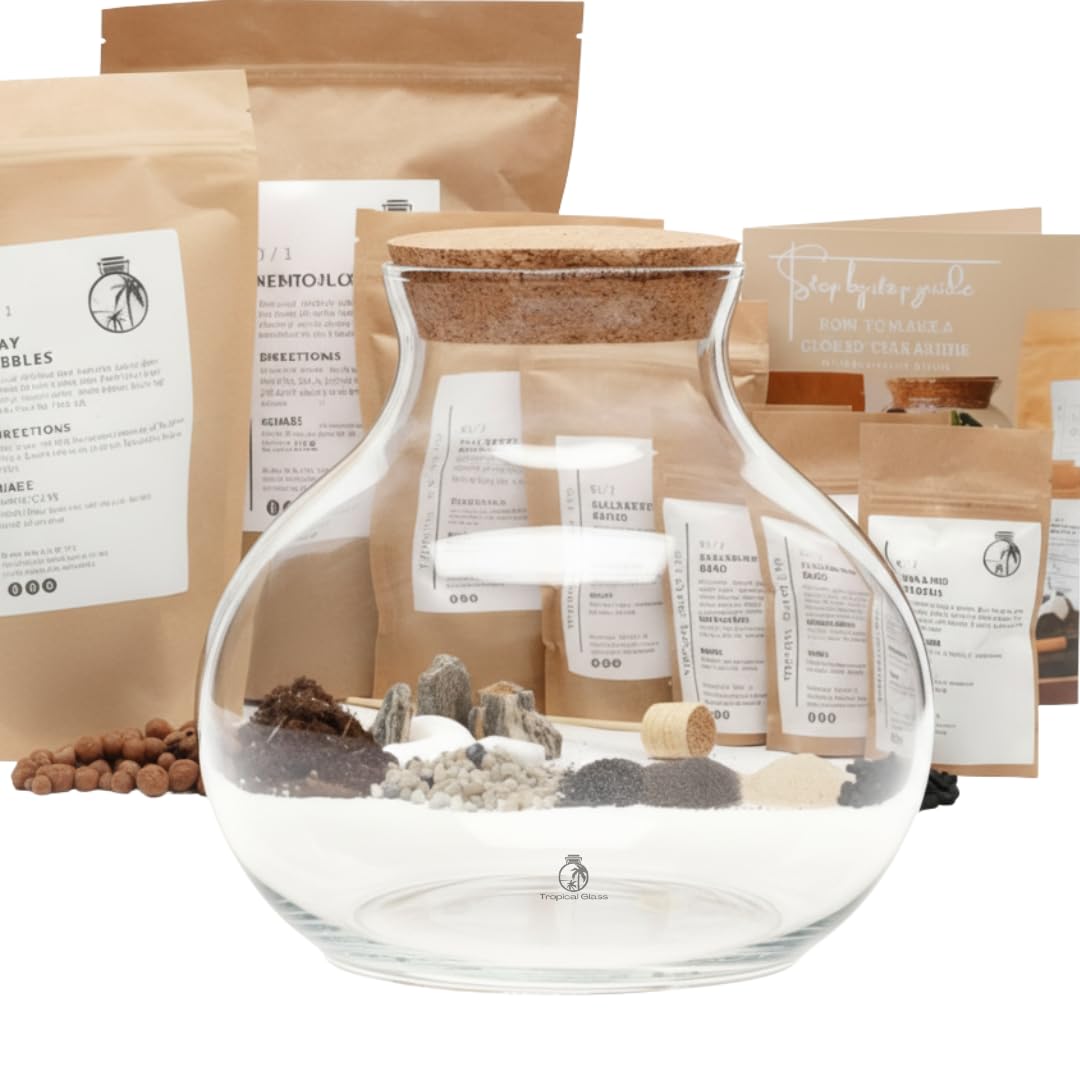 Glass Terrarium Container with Cork Lid, 24 cm High x 26 cm Wide, Hand Blown Clear Glass, Terrarium Jar (with Standard Lid, Glass + Starter Kit)