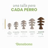 Ver la foto 4