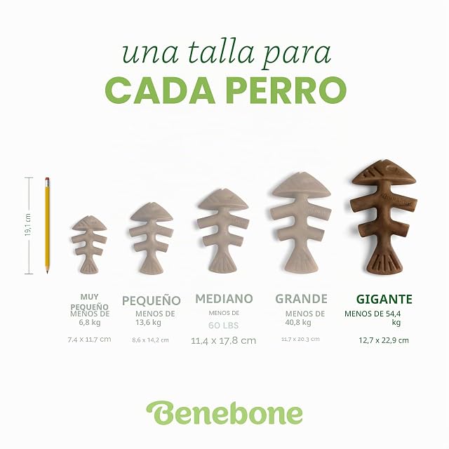 Foto 4 de 6 de Benebone Juguete masticable Duradero para Perros para masticadores agresivos, Jack Salmon, Gigante