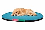 SITSNOOZE Rectangle Shape Dog Bed for Winter Season Extra Soft and Pet Beds Washable Designer Orthopaedic with Anti -Slip and Water Resistant Bottom (Torqoiuse, Large)