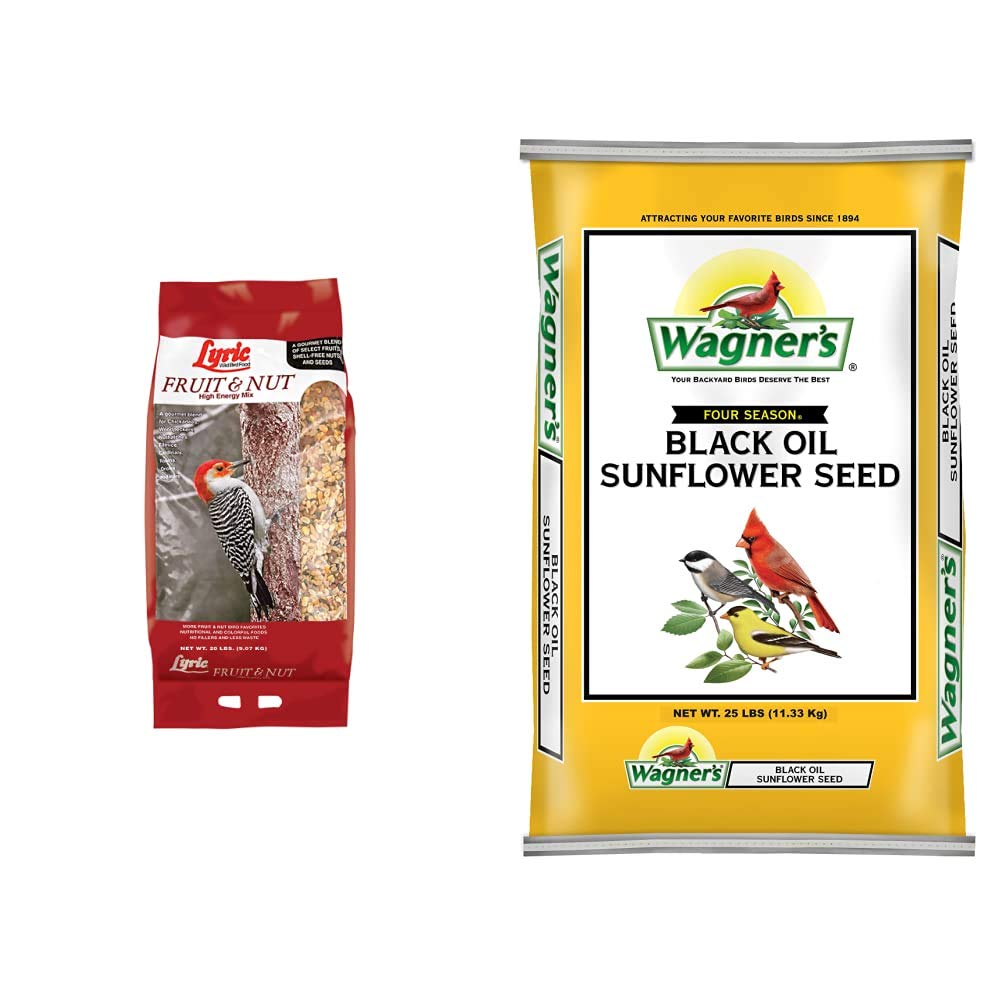 10 Best Black Oil Sunflower Bird Seed for Wild Birds Hummingbirds Plus