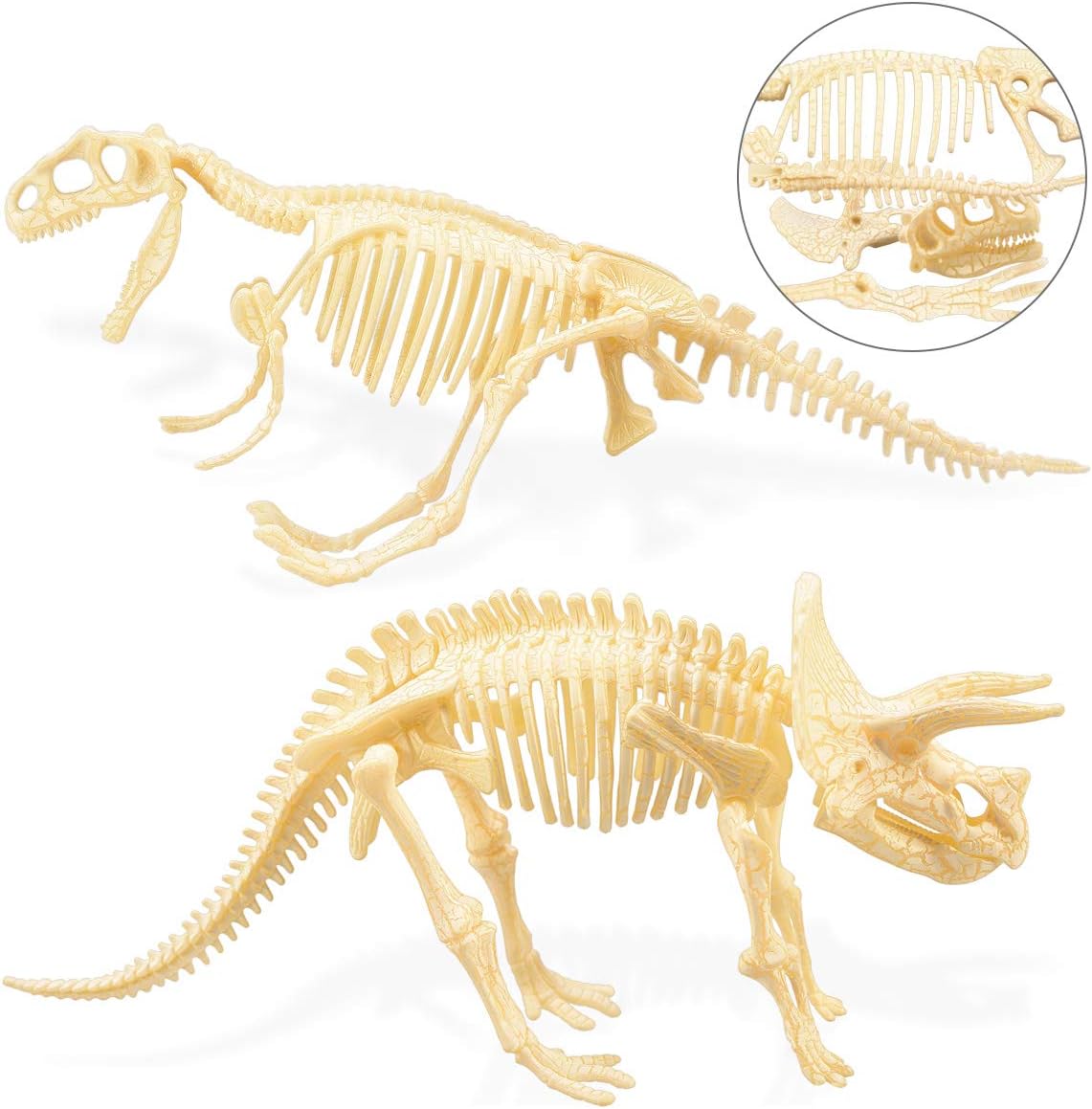Dinosaur Skeleton, 2Pcs 4D Dinosaur Fossil Skeleton Toys DIY for Kids Fossil Skeleton Figure