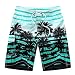 Newland Men's Colorful Stripe Coconut Tree Beach Shorts Swim Trunks Blue 35-36 Waist