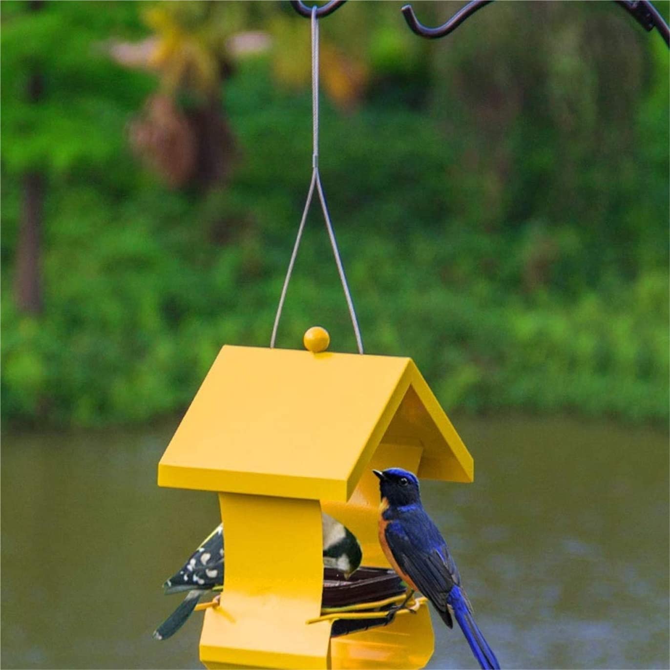 Karmnik dla Ptaków Balkon Karmnik Dla Ptaków Meatl Trwały Wiszący Dzikich Do Karmienia Na Zewnątrz W Ogrodzie Ogrodu Zewnątrz(Yellow)