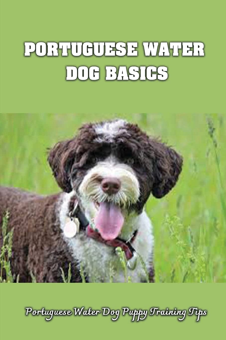 Portuguese Water Dog Basics: Portuguese Water Dog Puppy Training Tips: Top Activities For Portuguese Water Dogs