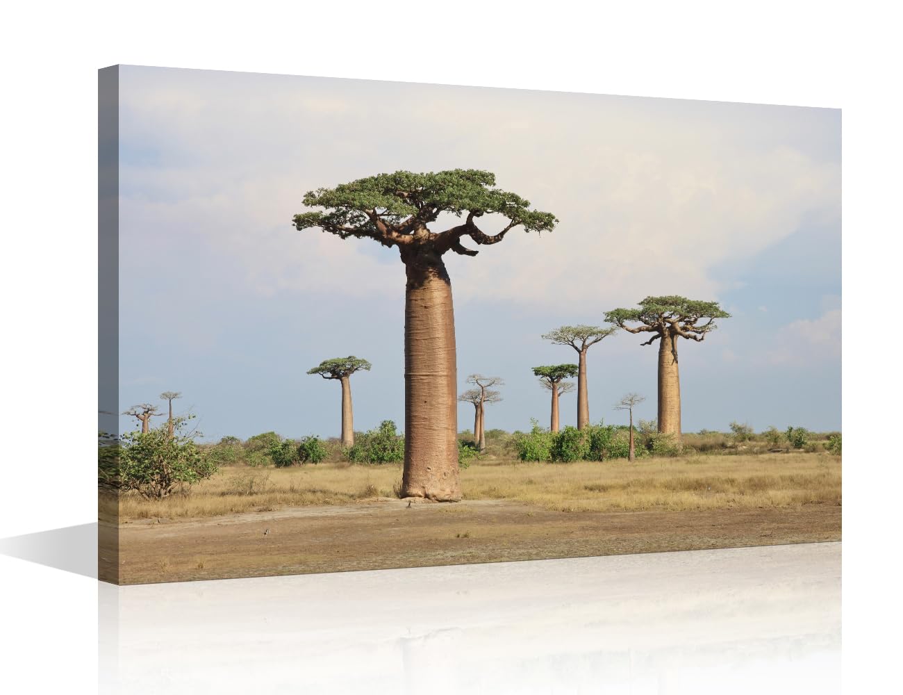 TISHIRON 1 Piece Madagascar Canvas Art Wall Decor Baobabs Bedroom Wall Art Natural Landscape Pictures for Living Room Tree Wall Painting Modern Wall Art Stretched and Framed Ready to Hang 18x12in โ image 1