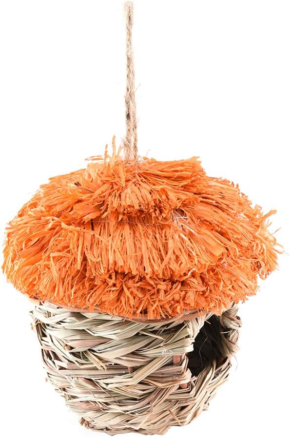 nido d'uccello per pappagallini