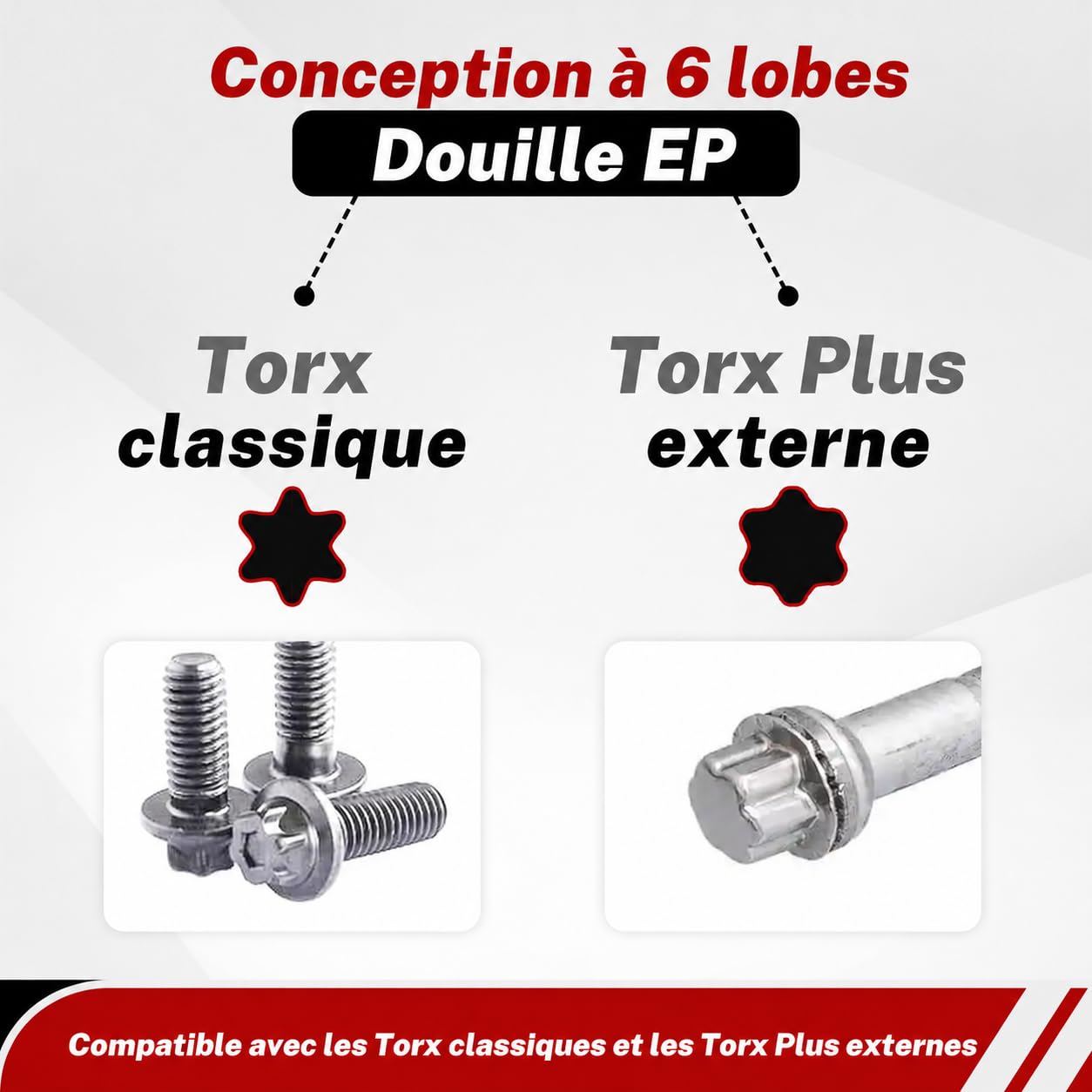 BILITOOLS Jeu de douilles Torx Plus externes 19 pièces EP4-EP32