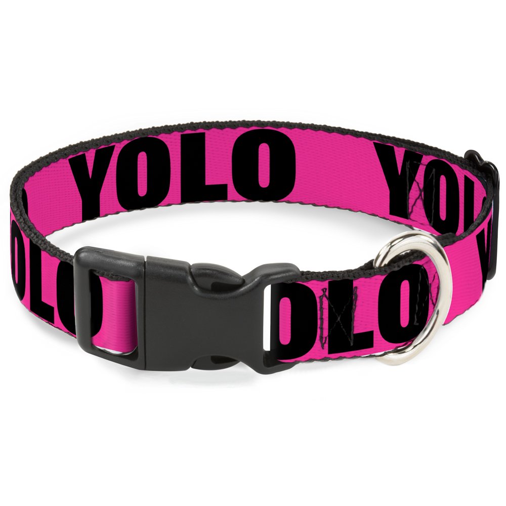 Collier clip en plastique Yolo Citation pour petit chien qui tire sur la laisse