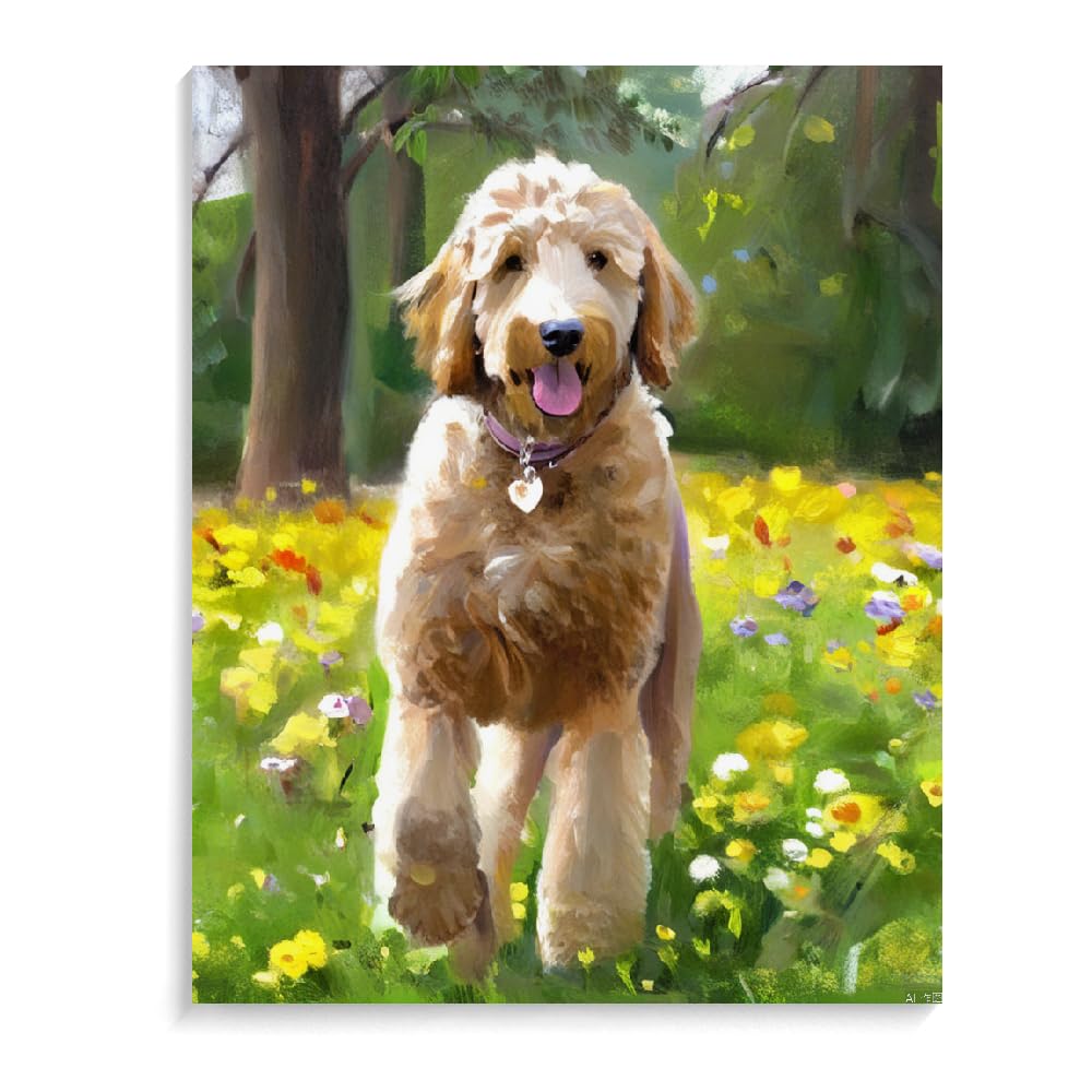 DIY Adult Paint by Number Kits Goldendoodle Dog for Adults Beginners,Easy Acrylic Paint by Number,DIY by Numbers Kits on Canvas 20x24inch(50x60cm) Frameless