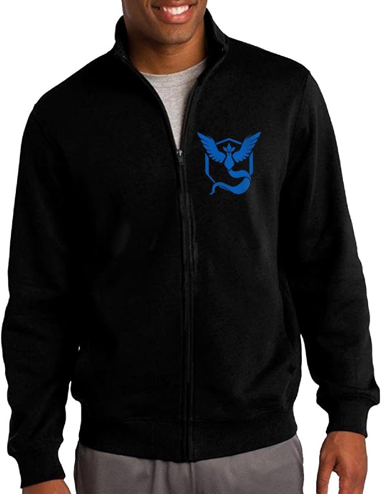 Team Mystic Filter Men's Pullover Hoodies Shirt Design