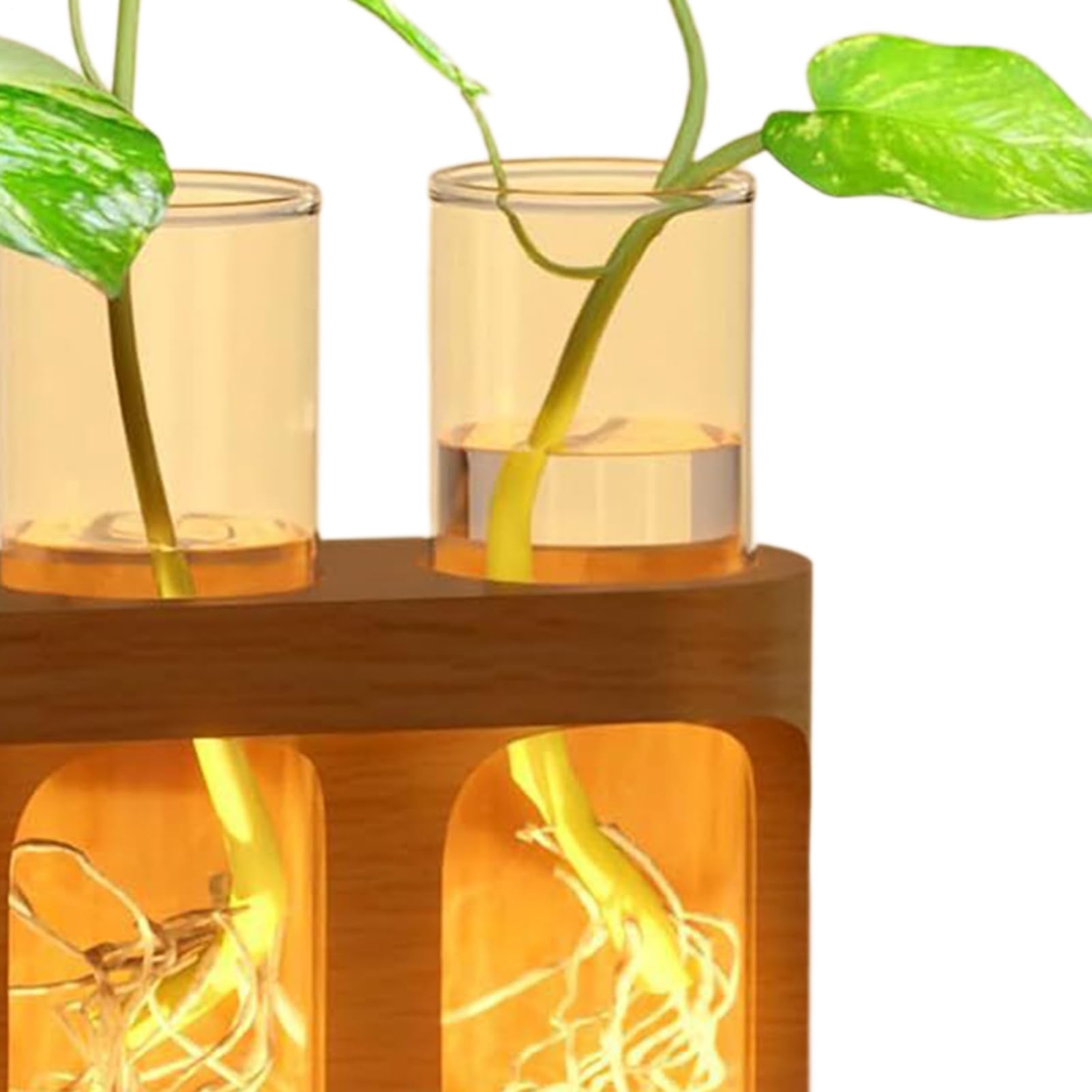 Vase pour La Propagation des Terrarium avec Éclairage LED Réglable