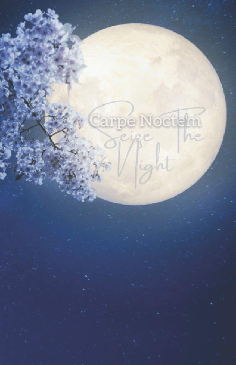 Carpe Noctem – Seize the Night: Notebook Journal for Nocturnal Creatives