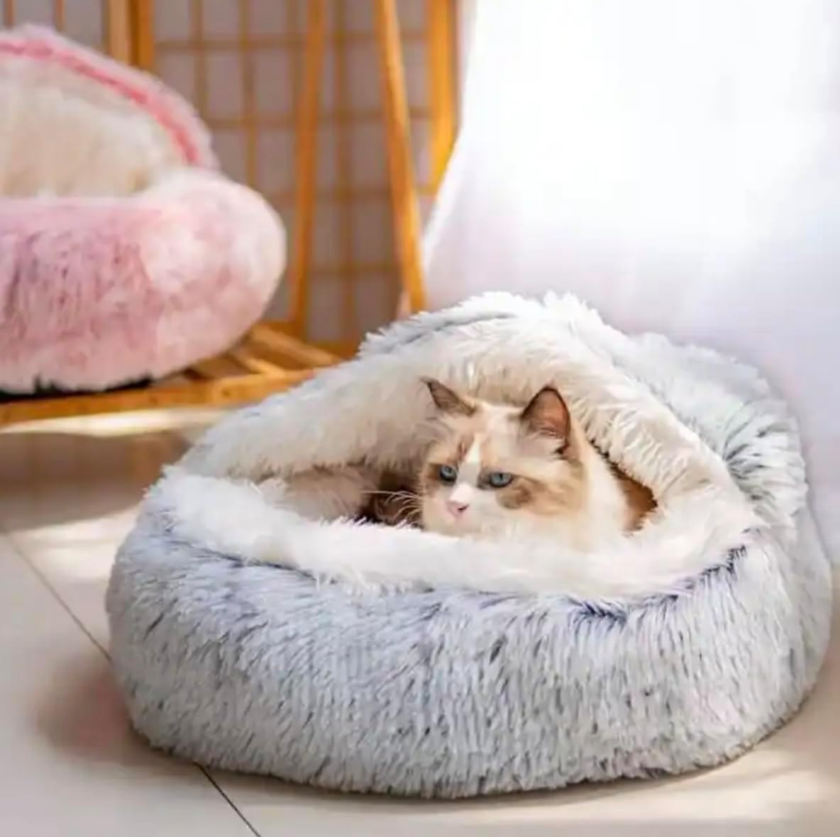 https://m.media-amazon.com/images/I/61uq-lYolKL._AC_SL1184_.jpg