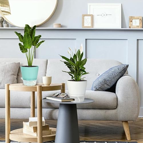 Miniatura 6 de Paquete de 4 macetas de 6 pulgadas macetas de plástico ventiladas con orificio de drenaje y depósito profundo para plantas de interior y exterior