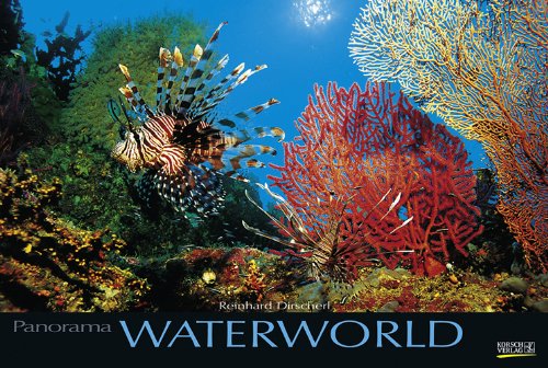 Waterworld 2011. PhotoArt Panorama Waterworld 2011. PhotoArt Panorama