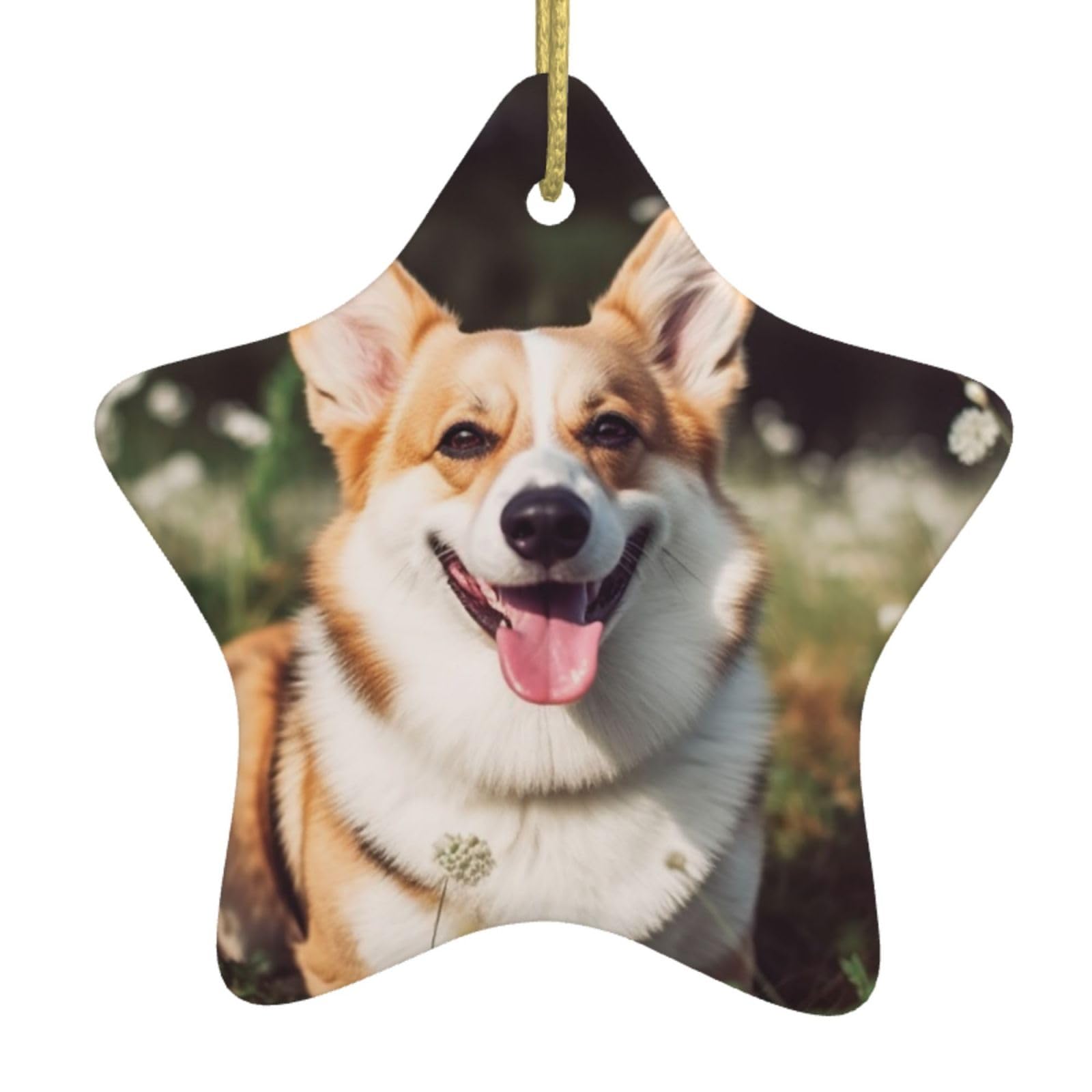 Ceramic Christmas Tree Hanging Ornaments with Gold Ropes Christmas Tree Decorations Star Ceramic Happy Corgi Dog Pendant Keepsake Decorations for Holiday Xmas Gift Ideas