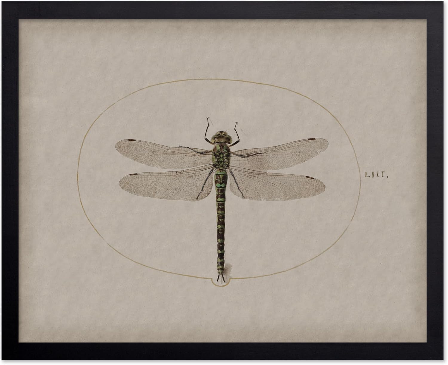 Poster Master Vintage Dragonfly Poster - Retro Insect Artifice Print - Insect Art - Great Gift for Men, Women, Animal Lover - 8x10 Print & Black Frame Bundle