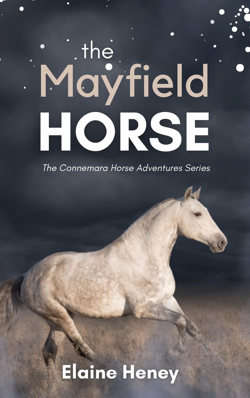 The Mayfield Horse - Book 3 in the Connemara Horse Adventure Series for Kids. The perfect gift for children (Connemara Pony Adventures)