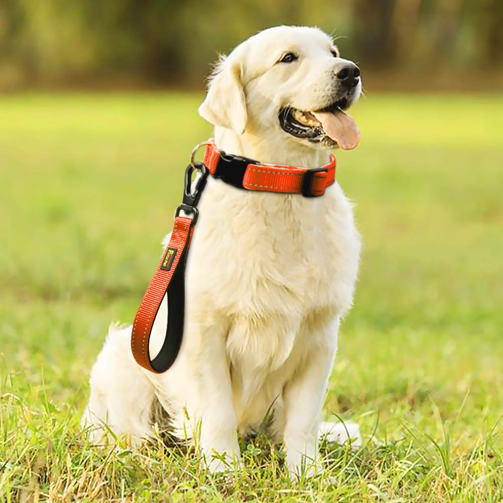 Correa corta para perro PLUTUS PET, mango acolchado de nailon, fuerte tráfico para mascotas con mosquetón, perfecto para perros grandes o medianos.