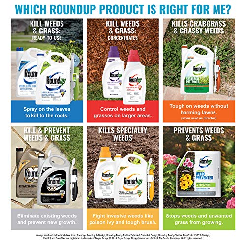 Roundup Super Concentrate Weed & Grass Killer - Includes Easy Measure Cap, 0.5 gal. Roundup Super Concentrate Weed & Grass Killer - Includes Easy Measure Cap, 0.5 gal.