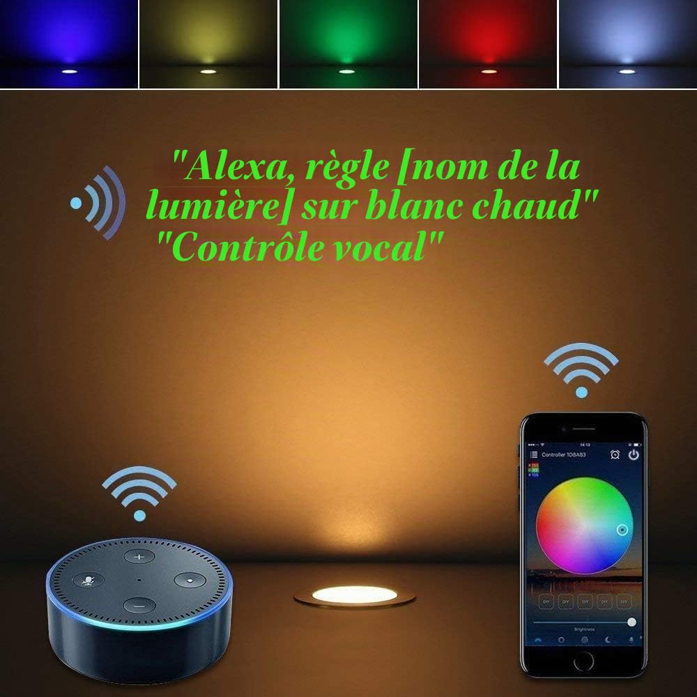 Lot de 6 Wifi Multicolore RGBWW(4 en 1) 0.6W Ø31mm Spot Encastrable Exterieur Dimmable Fonctionne Avec Alexa, Google Home,Spots LED Encastrable DC12V Etanche IP67