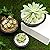 5 Inch Round Succulent Cactus Planter Pots with Drainage, Plastic Nursery Flower Pots for Indoor Outdooor, Flower Plant Container Decorative Planters for House Plants Black