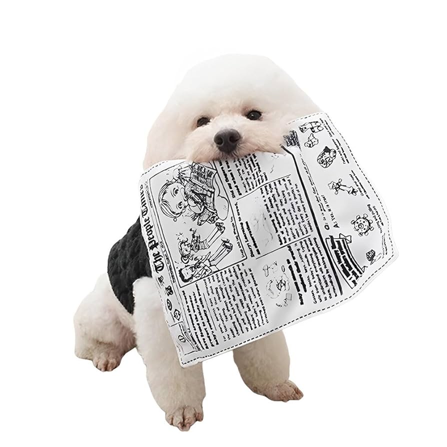 いぬ Amazon | YBGGJO 犬専用新聞おもちゃ 犬 おもちゃ 噛むおもちゃ