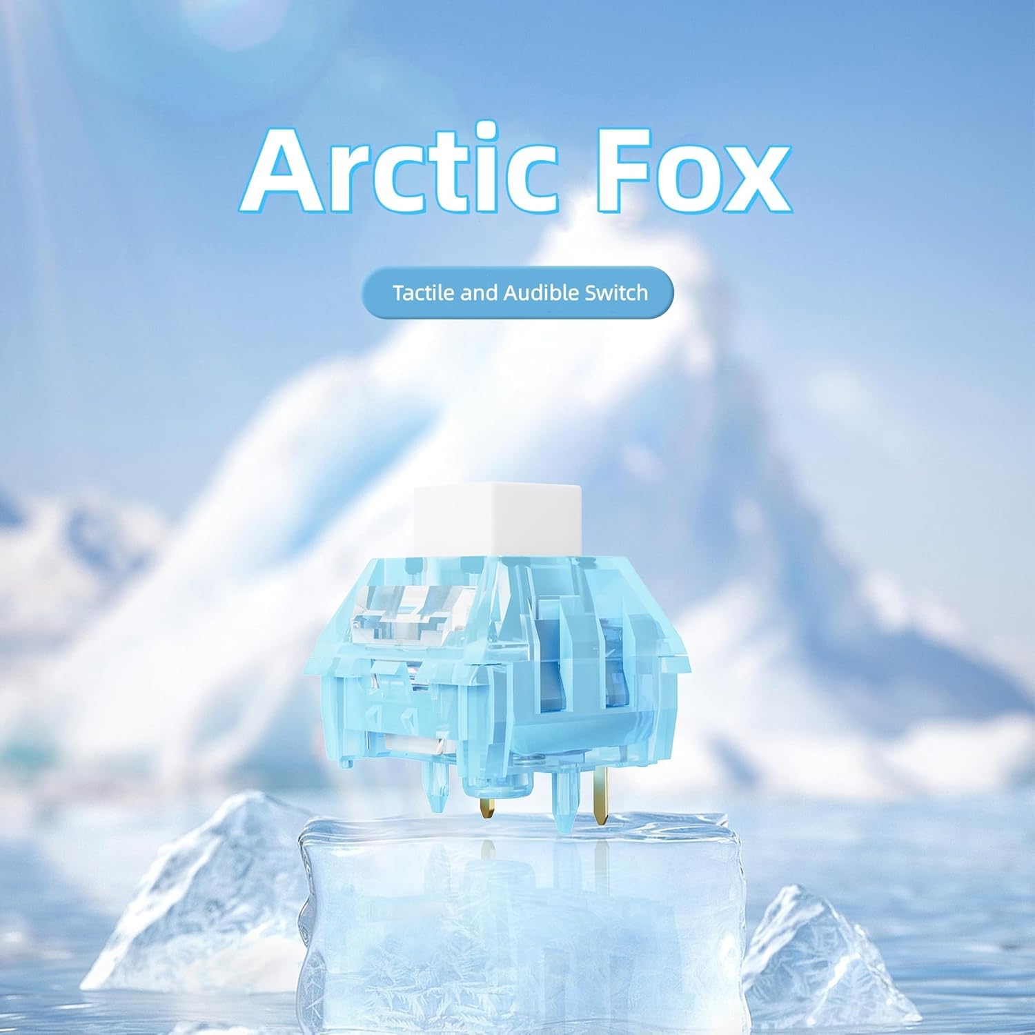 Amazon.com: Kailh Arctic Fox Switch Clicky Mechanical Switch