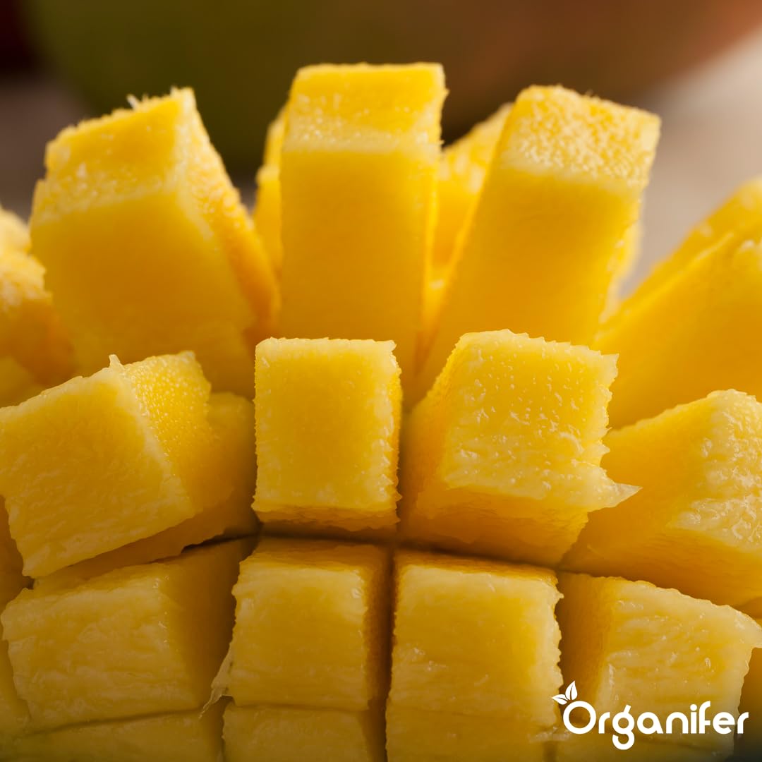 Fertilizzante liquido organico 1L per mango – crescita ottimale e frutti rigogliosi – Organifer
